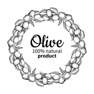 Olive wreath. Hand drawn vector illustration of branch with food Stock Illustration