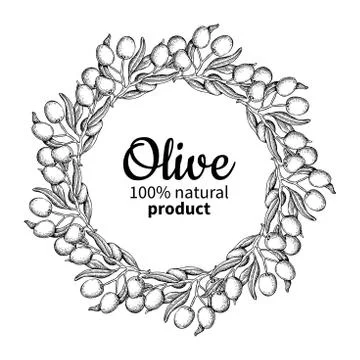 Olive wreath. Hand drawn vector illustration of branch with food Stock Illustration
