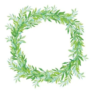 Olive wreath isolated on white background. Green tea tree leaves. Stock Illustration