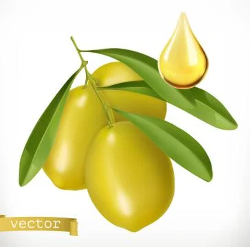 Olives and drop of oil. 3d realistic vector icon Stock Illustration