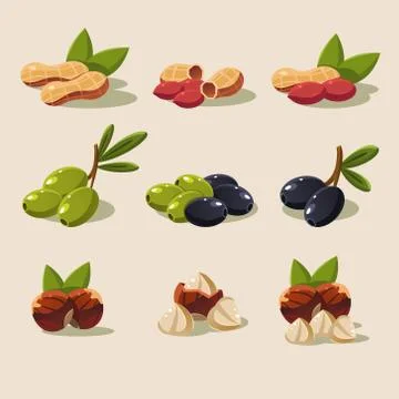 Olives and Nuts Vector Illustration Modern Design Stock Illustration