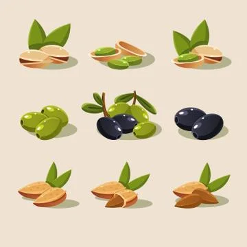 Olives and Nuts Vector Illustration Modern Design Stock Illustration