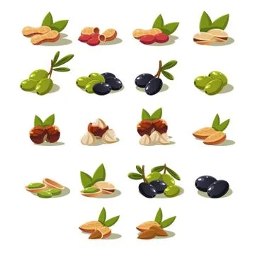 Olives and Nuts, Vector Illustration Modern Design Set Stock Illustration