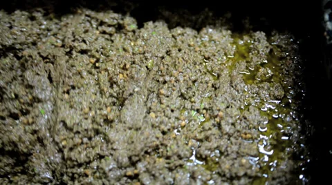 Olives are processed at the mill to get the oil Stock Footage 32882110