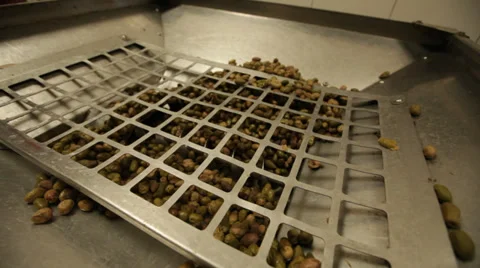 Olives Being Processed for Making Olive Oil Stock Video 動画素材 32893517