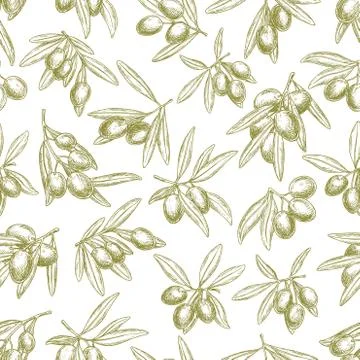 Olives branches on olive vector seamless pattern Illustrazione stock