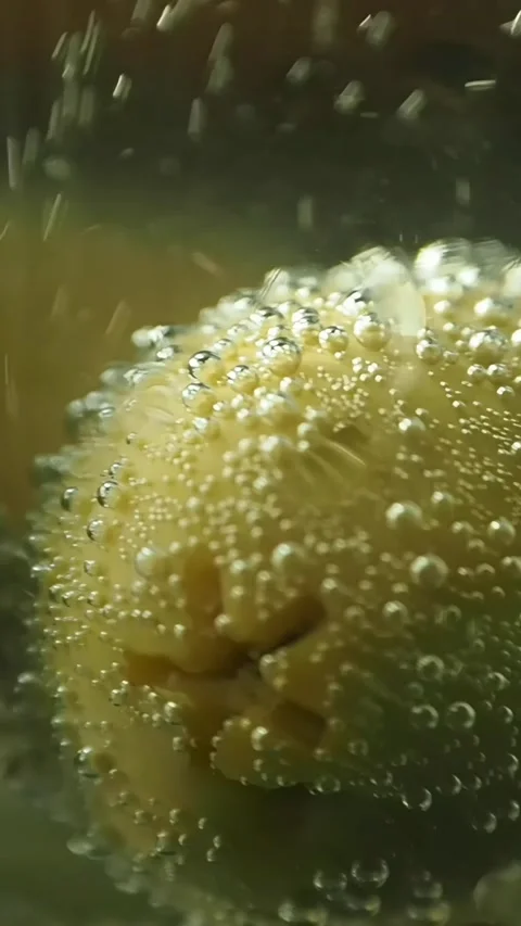 Olives in a drink, bobbing with bubbles 스톡 동영상 343059544