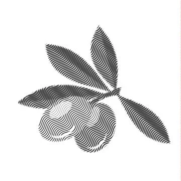 Olives, engraving, vector illustration editable quality Stock Illustration