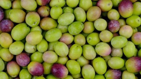 Olives Stock-Footage 143325647