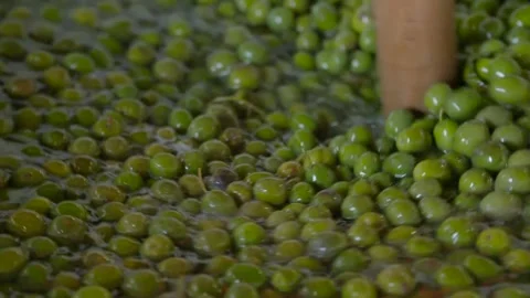 Olives Stock Footage 238073320