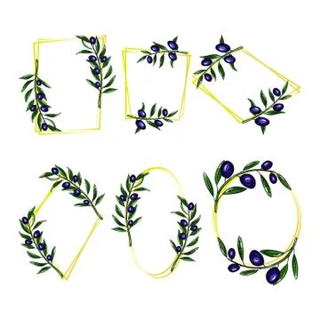 Olives frame set and olive branch with leaves Stock Illustration