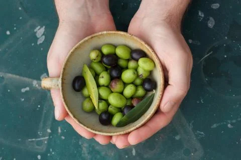 Olives in the hand Stock Photos