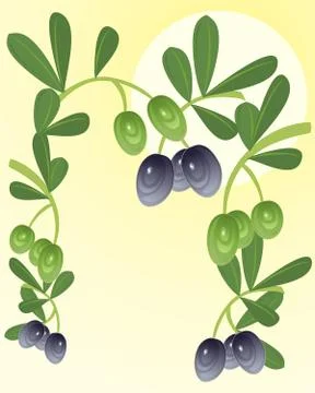 Olives Illustrazione stock