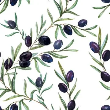 Olives Stock Illustration