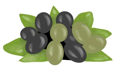 Olives Stock Illustration
