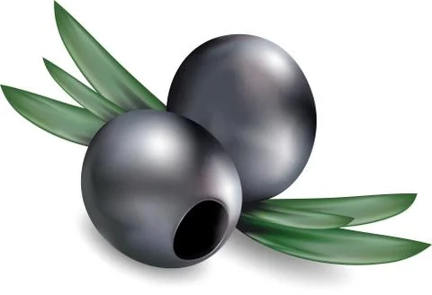 Olives isolated on white background. Vector Illustrazione stock