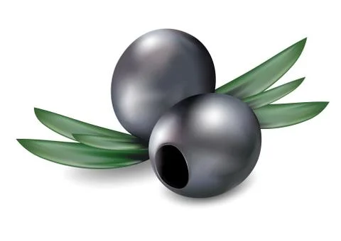 Olives isolated on white background. Vector illustration Stock Illustration