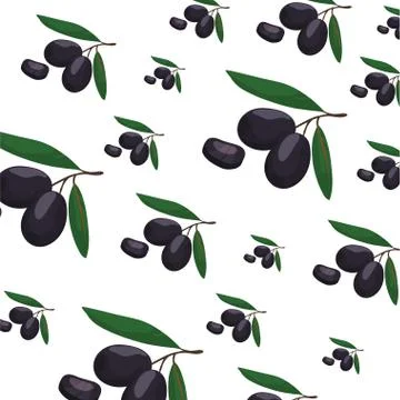 Olives leaf slice background vegetable Stock Illustration