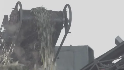 Olives in the machine for separation 스톡 동영상 154662551