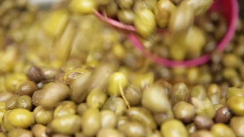 Olives In The Market 스톡 동영상 102178175