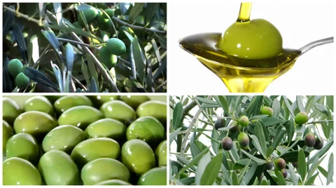 Olives montage 库存影片 34098734