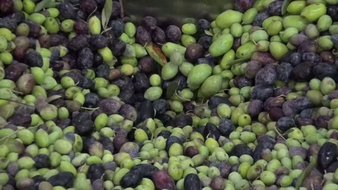 Olives in the Oil Press Видео 73278485