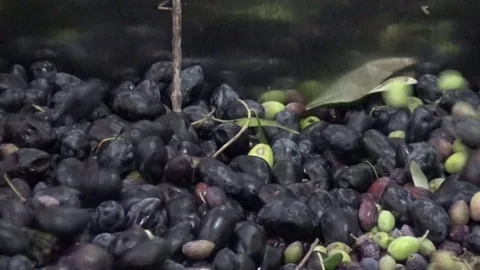 Olives in the Oil Press Stockbeeldmateriaal 73279329