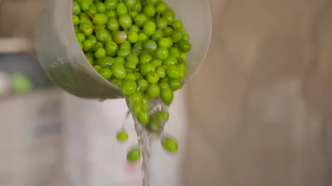 Olives, olive oil Stock Footage 238073652