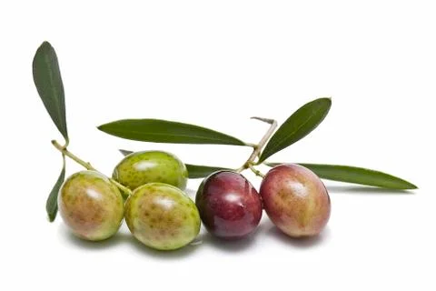 Olives over a white background. Stock Photos