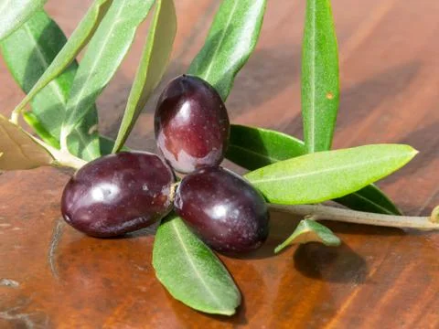 Olives Stock Photos