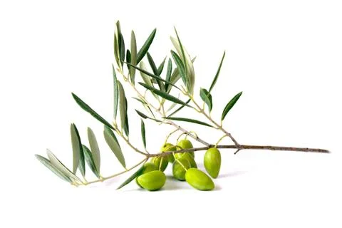 Olives Stock Photos