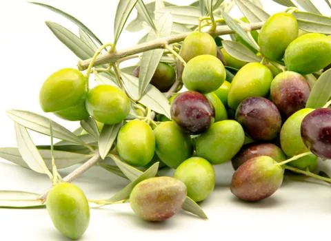 Olives Stock Photos