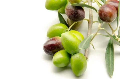 Olives Stock Photos