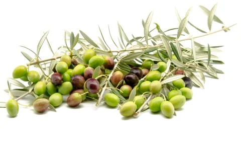 Olives Stock Photos