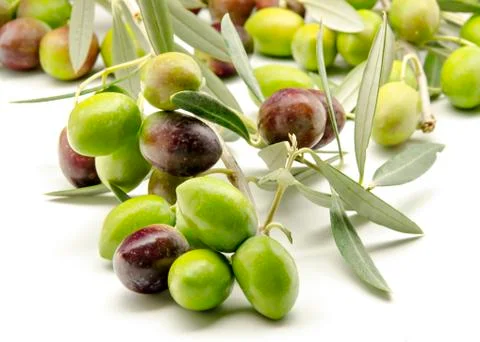 Olives Stock Photos