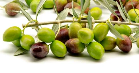 Olives Stock Photos