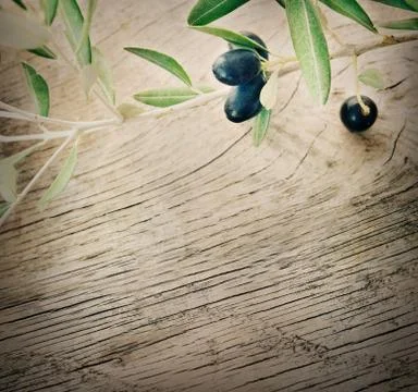 Olives Stock Photos