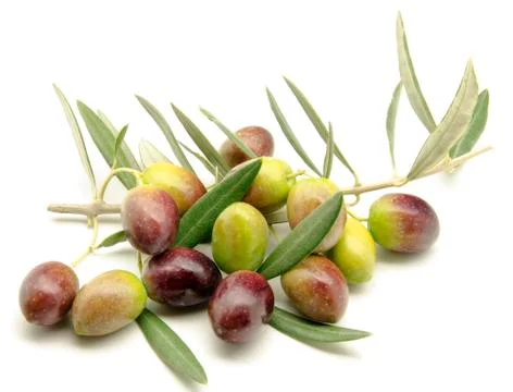Olives Stock Photos