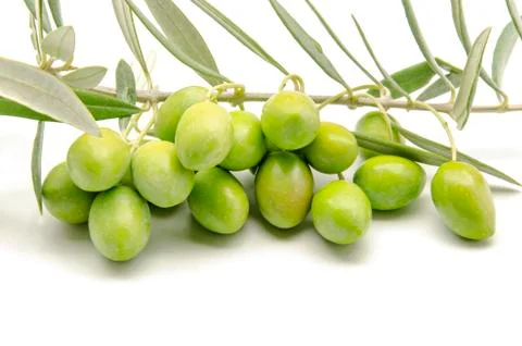 Olives Stock Photos