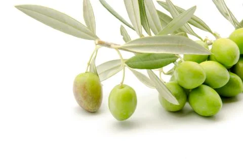 Olives Stock Photos