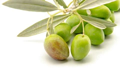 Olives Stock Photos