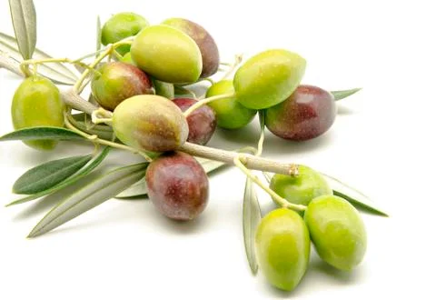 Olives Stock Photos