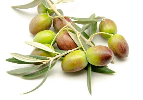 Olives Stock Photos