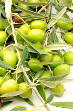 Olives Stock Photos