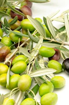 Olives Stock Photos