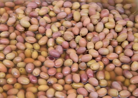 Olives Stock Photos