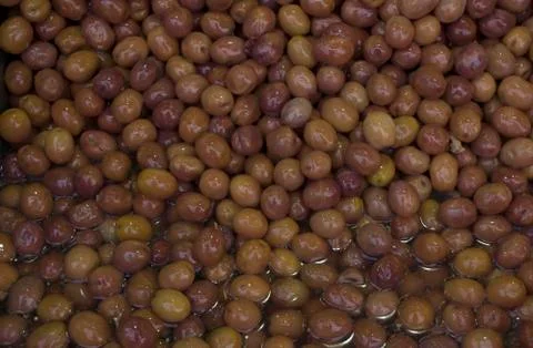 Olives Stock Photos