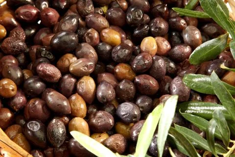 Olives Stock Photos