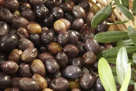 Olives Stock Photos