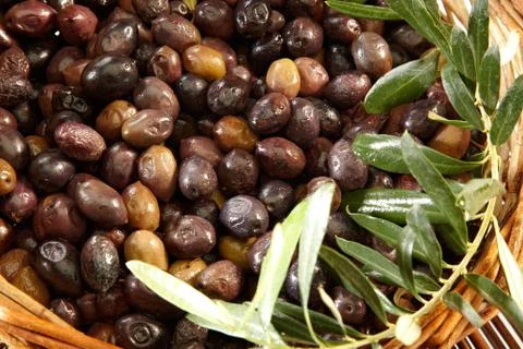 Olives Foto stock